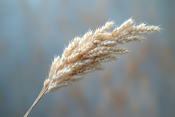 A close-up of a delicate, golden grass spike against a blurred background, highlighting its textures and natural beauty.