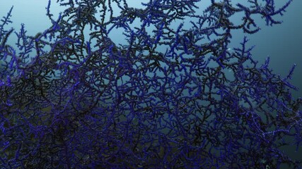 Gorgons in very closeup shots - Banda sea and North Sulawesi in Indonesia