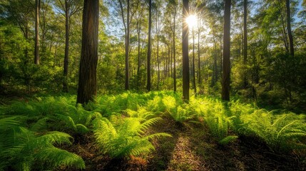 Fototapeta premium A striking image of bright green fern leaves on the forest floor, capturing the richness of nature and inviting viewers to connect with the outdoors.