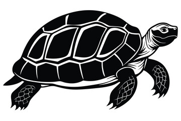 tortoise icon vector black silhouette. EPS File