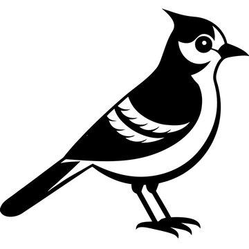 recommend clip art: blue jay on white