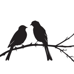 Obraz premium Canaries silhouette isolated in White background