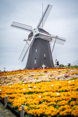 大阪周辺で撮影した写真