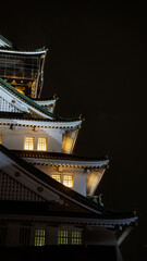 Everyday Osaka: Castles to Neon Lights in the Urban Landscape