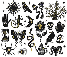 gothic witchy spooky halloween stuff items set,  hand drawn vector illustration in black white and gold graphic