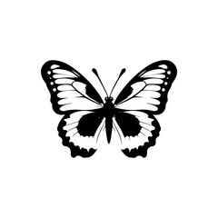 Eastern Tiger Swallowtail Butterfly