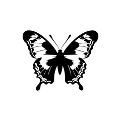 Common Lime Butterfly