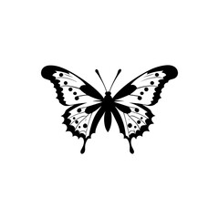 Great Eggfly Butterfly