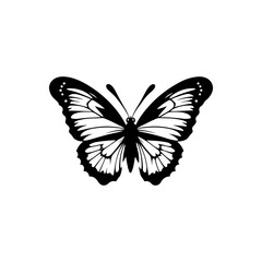 Black Rajah Butterfly