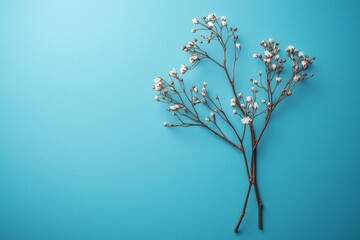 Minimalist blue background with a dead tree branch with some small flowers in it. 