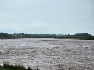 Rural landscape with a muddy river and lush greenery along the shoreline