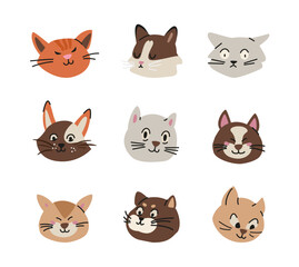 Fototapeta premium Different cats heads with different emotions flat vector illustrations set isolated on white.