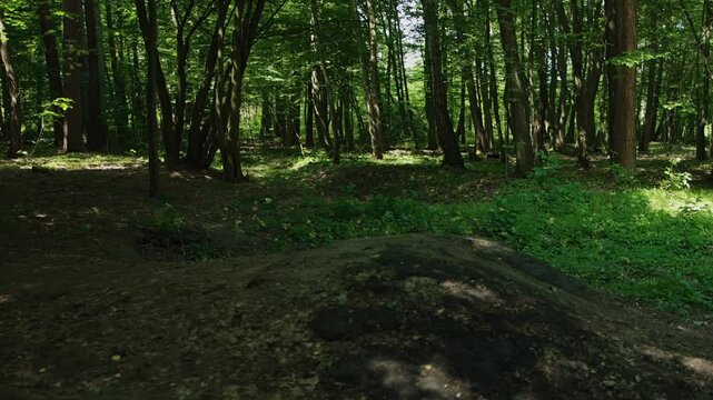 Teenager rides a hardtail mountain bike at high speed, he drives in and jumps from a sandy springboard in forest. Bicyclist gets off-road trail riding. Childhood, sports recreation