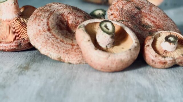 Niscalo mushroom fresh on the table.
