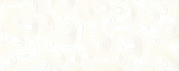 Fluid and Dynamic Contour Line Pattern with Geographic Inspiration, Monochrome Background for Contemporary Projects
