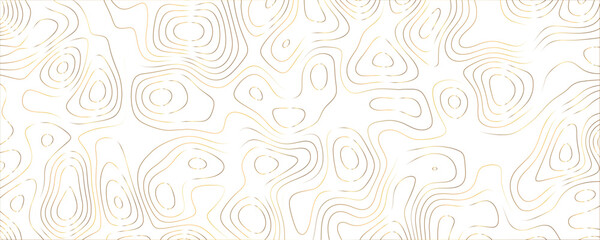 Obraz premium Geographic Contour Lines on a Dark Canvas, Creating an Organic, Flowing Background Pattern 