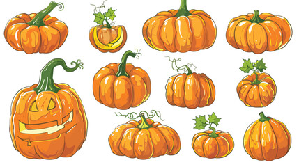 Pumpkin vector drawing set