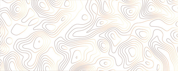 Black and White Contour Line Art, Fluid Topographic Pattern for Modern Digital and Print Designs
