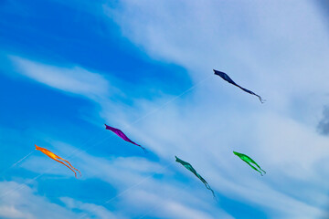 many flying, colorful kites in the sky at the North Sea in Rømø Denmark