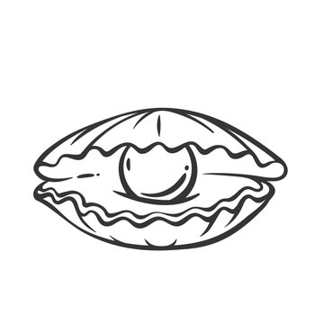 Sea shell with half open valves and pearl line icon. Outline hand drawn vintage opening underwater seashell, cockleshell. Marine animal mascot, simple clam with pearl icon vector illustration