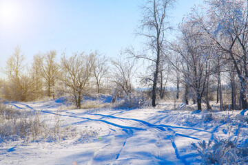 Snow covered forest country road on winter sunny