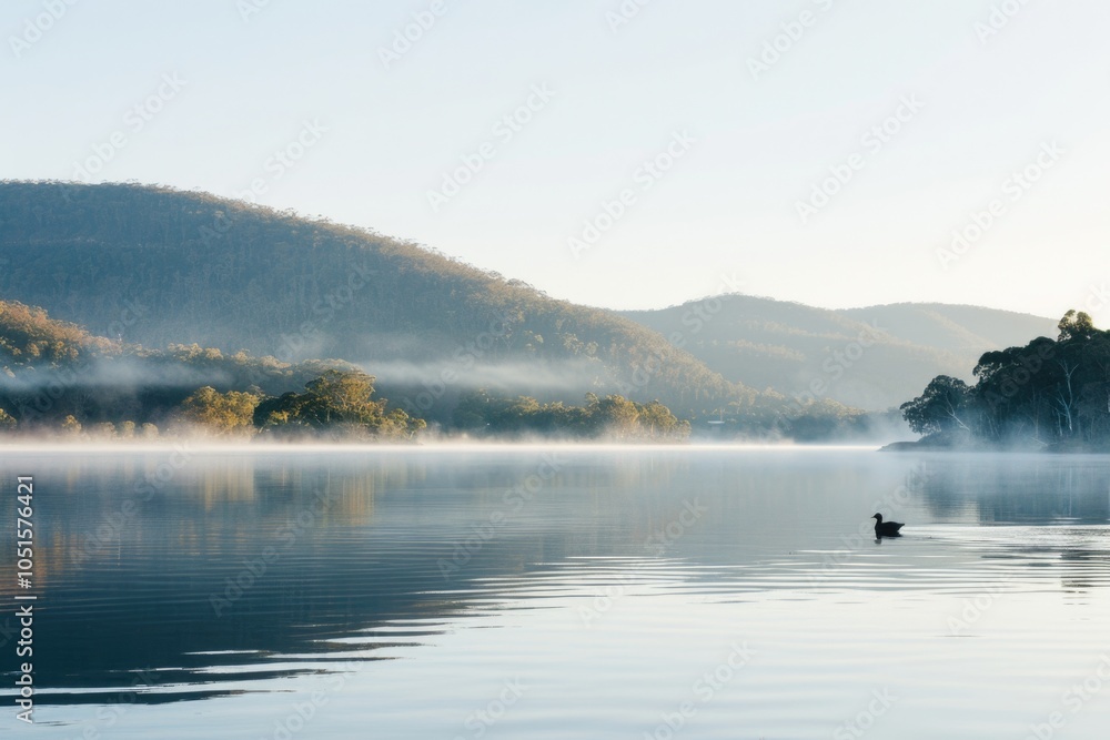 Poster a single duck swimming peacefully on the surface of a serene lake, ideal for use in editorial or com