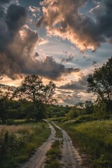 A country lane with overgrown grass and weeds, leading to nowhere