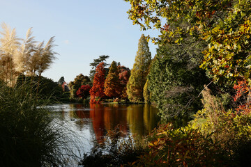Autumn trees in Sussex, England