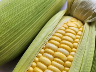 Close up of yellow sweetcorn seed