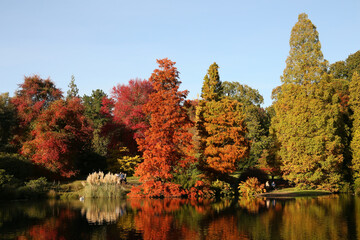 Autumn trees in Sussex, England