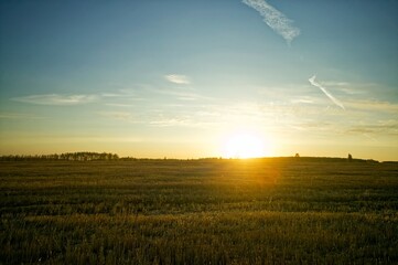 Sunny evening over a mown wheat field