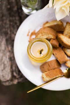 Bee fallen in honey jar by breads at garden party