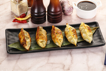 Fried Japanese stuffed dumplings - Gyoza