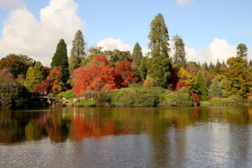 Autumn trees in Sussex, England