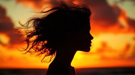 Silhouette of a person with wild, untamed hair against a dramatic sunset.