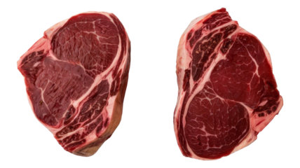 Two slices of frozen beef meat for steak on a transparent background.