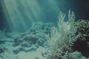 Obraz premium Underwater scene of a coral reef illuminated by sunbeams, ideal for ocean-related or educational content