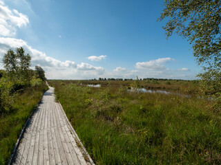 Wanderweg am ewigen Meer (Ostfriesland) mit Blick über die Moorlandschaft und blauem Himmel mit wenigen weißen Wolken