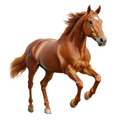 Obraz premium Realistic chestnut horse PNG, galloping equine animal illustration, brown running stallion for ranch and sport design isolated PNG with Transparent Background
