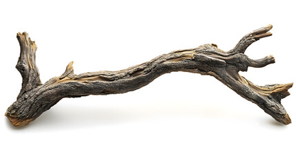 Unique Driftwood Piece with Intricate Hole Patterns Isolated on White