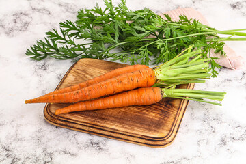 Toung fresh ripe orange carrot