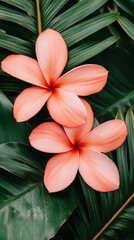 Fototapeta premium Beautiful pink flowers surrounded by lush green leaves, ideal for nature-themed designs.