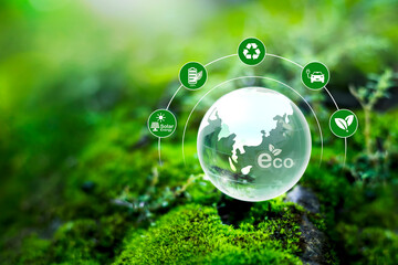Bio Circular Green Economy concept. Crystal globe glass on green moss in forest to protect nature Save and care World for sustainable.