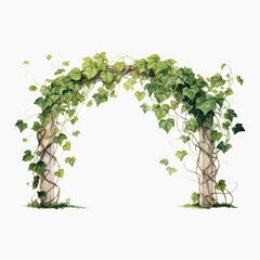 Naklejka premium Elegant ivy-covered garden arch