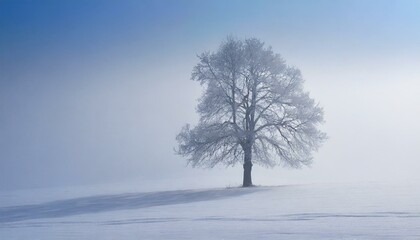 Misty winter landscape. A single tree in the mist in winter
