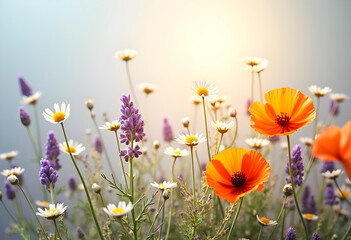 Fototapeta premium Vibrant flowers in serene setting create peaceful atmosphere, showcasing orange poppies, purple lavender, and white daisies. This natural beauty evokes joy and tranquility