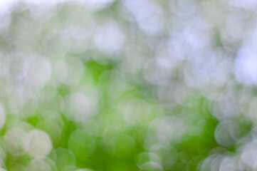 Fototapeta premium Summer background of blue and green, blurred foilage and sky with bright bokeh. Blurry abstract summer background. Natural green leaves using as cover page greenery environment ecology background