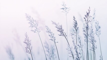 A serene image of delicate grass blades against a soft pastel background.