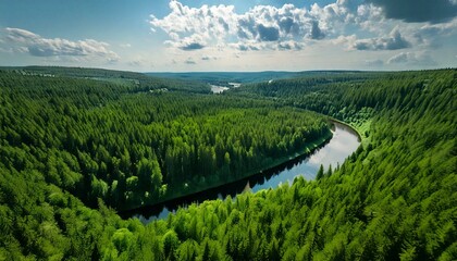 Fototapeta premium Aerial View of Winding River Through Dense Green Forest