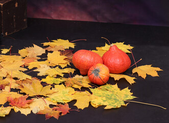 Autumn still life with maple leaves, pumpkins, apples. Harvest, Halloween, Thanksgiving.